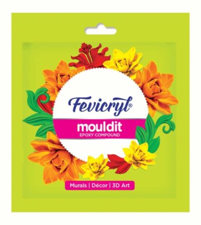 Fevicryl Mouldit - 90g